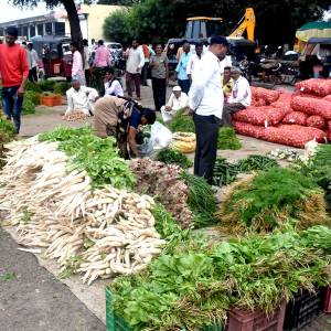 BHAJIPALA_HARASHI4_original