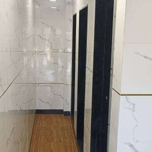 TOILET_LEDIES_original